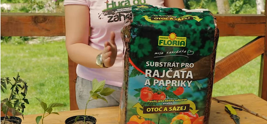 2016 HDZ VR Substrt na paradajky a papriky
