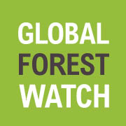 globalforestwatch