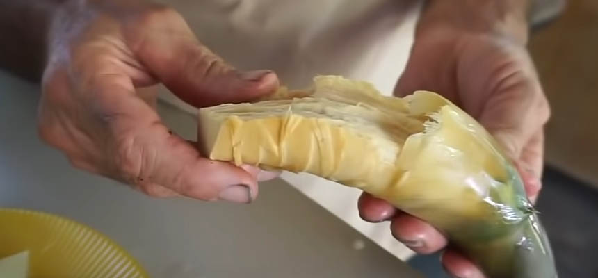 Growing and Processing Bamboo Shoots