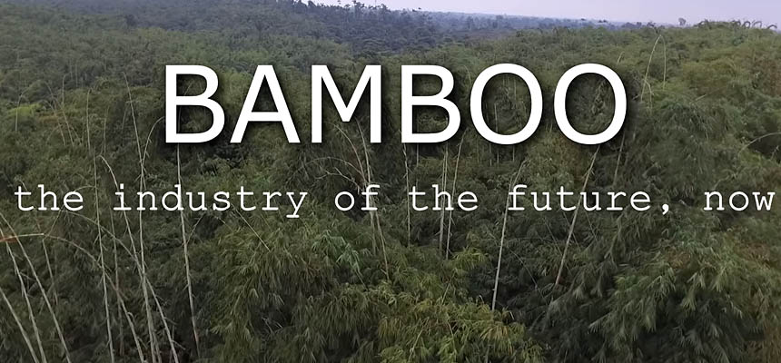 Bamboo The industry of the future
