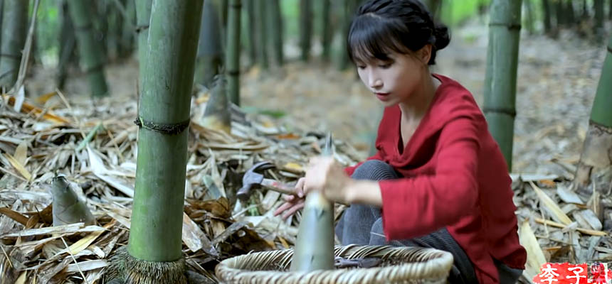 Bamboo eating