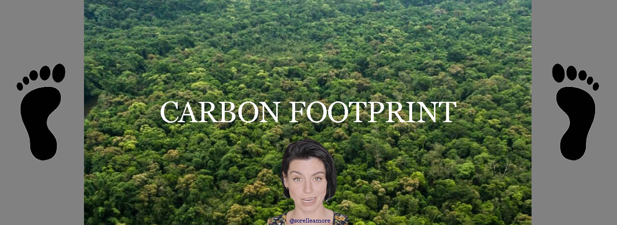 Uhlíková stopa